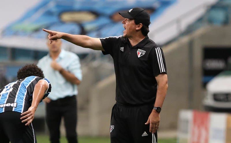 fernando diniz flamengo