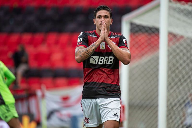flamengo pedro