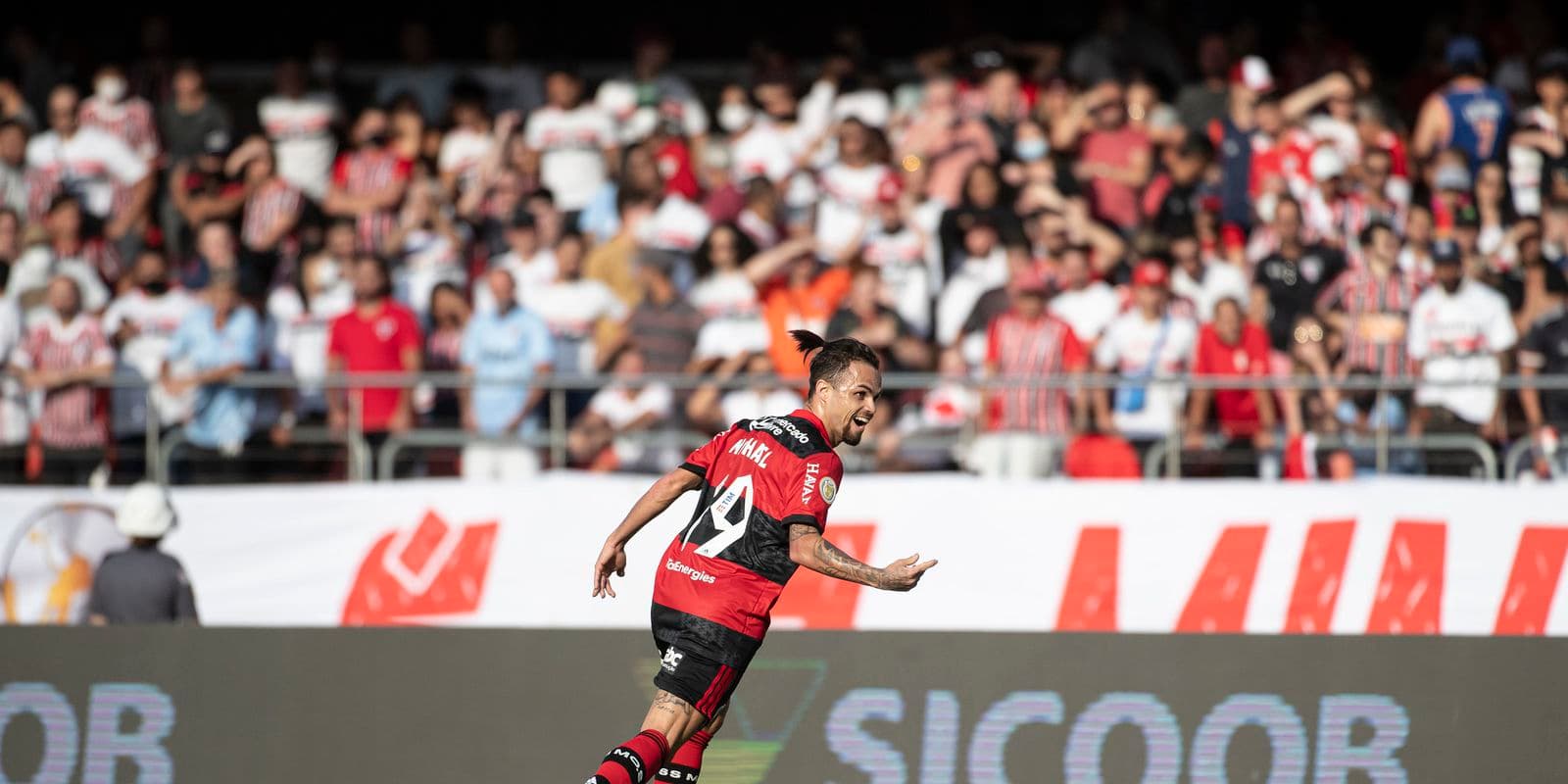 Michael Flamengo