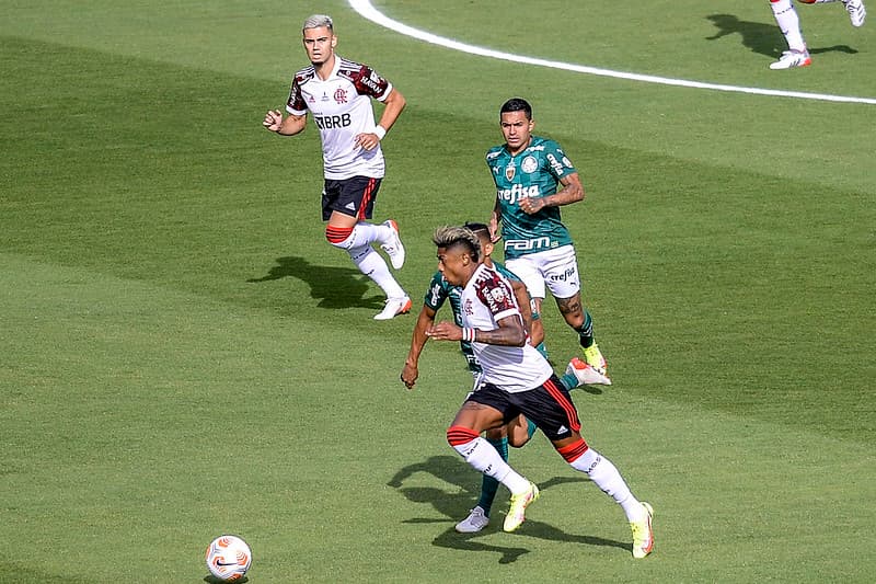 Flamengo Palmeiras libertadores