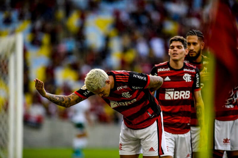 pedro flamengo goiás brasileiro 2022