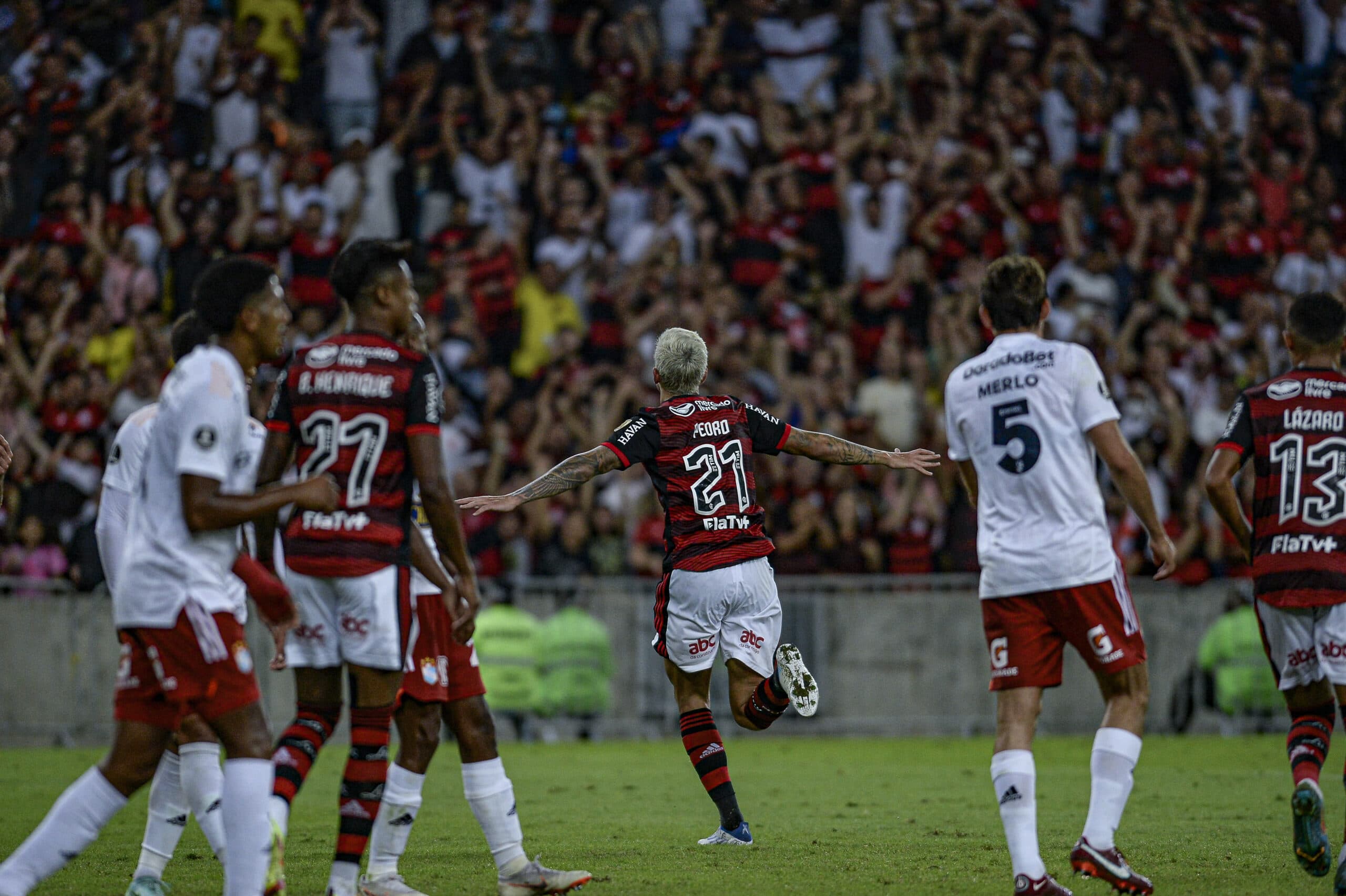 Pedro Flamengo