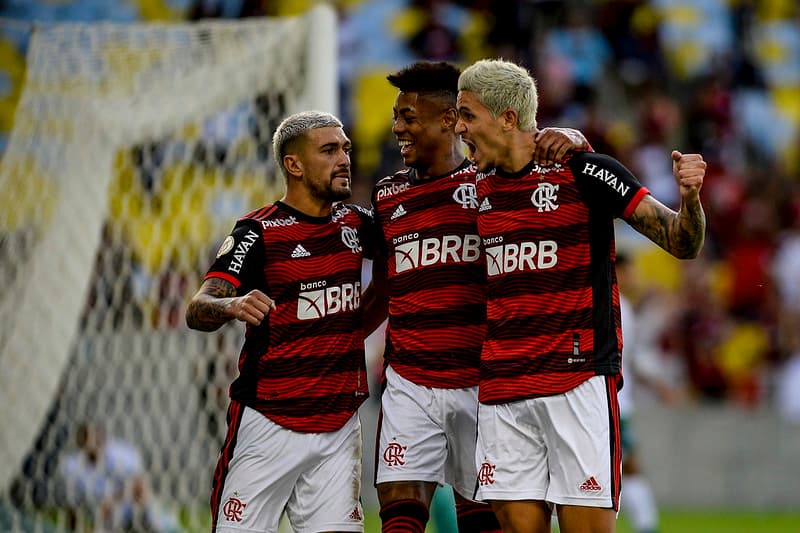 pedro flamengo goiás brasileiro 2022