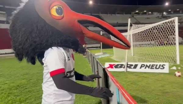 mascote ataca ex flamengo