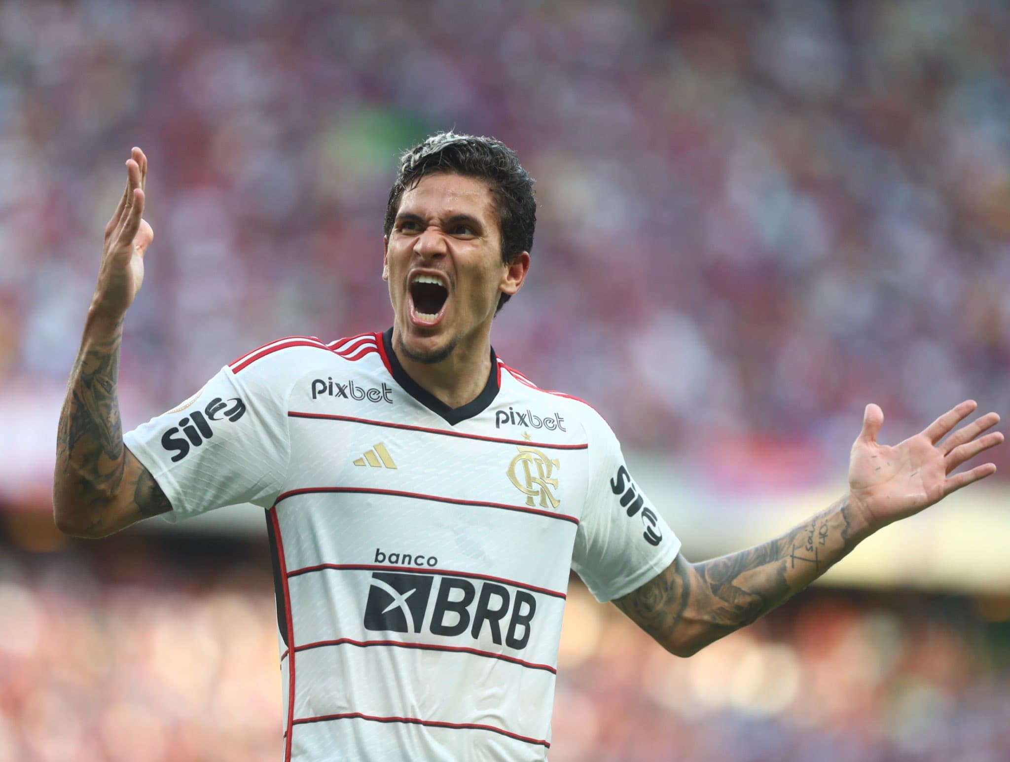 Pedro comemora gol do Flamengo contra o Fortaleza, no Castelão; veja os melhores momentos