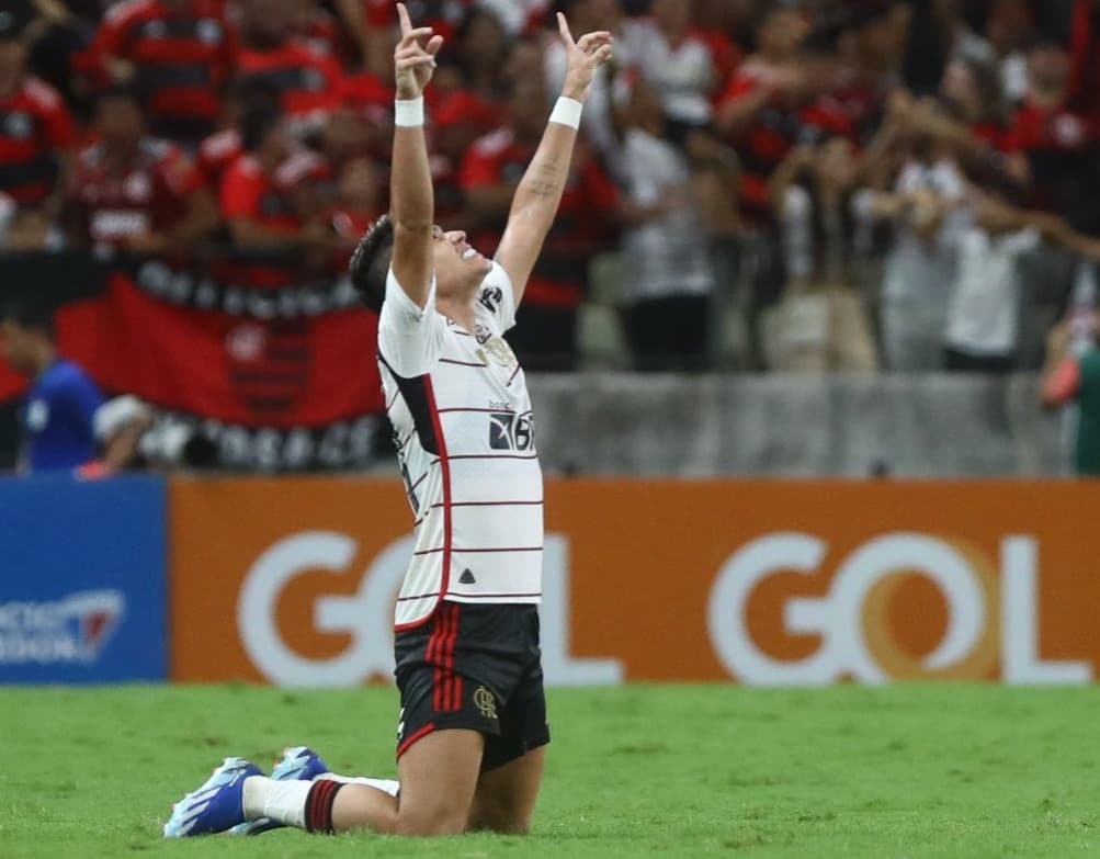 Com gols de Pedro e Luiz Araújo, Flamengo bate o Fortaleza no Brasileirão e segue buscando vaga direta na Libertadores