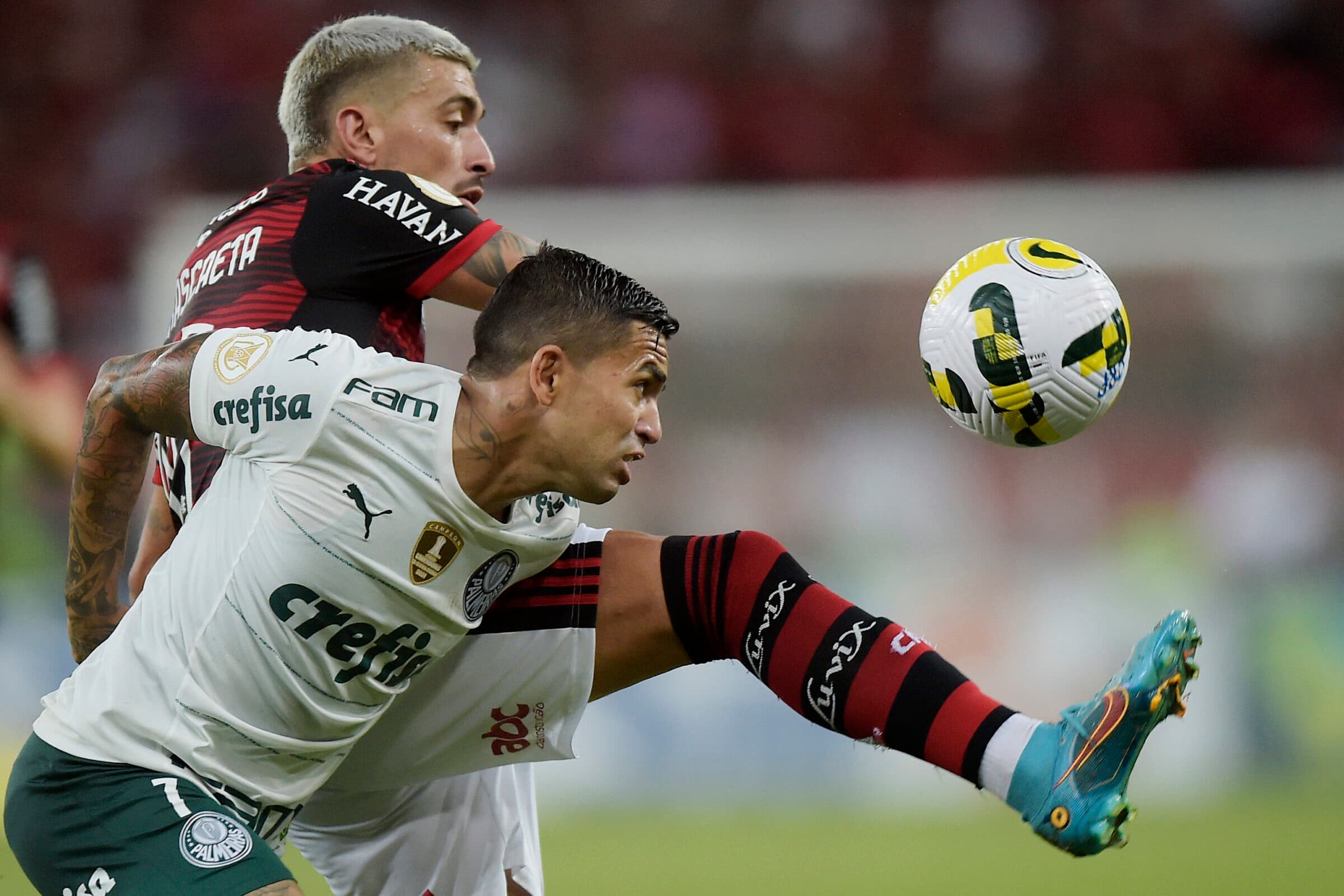 Arrascaeta e Dudu em Flamengo e Palmeiras