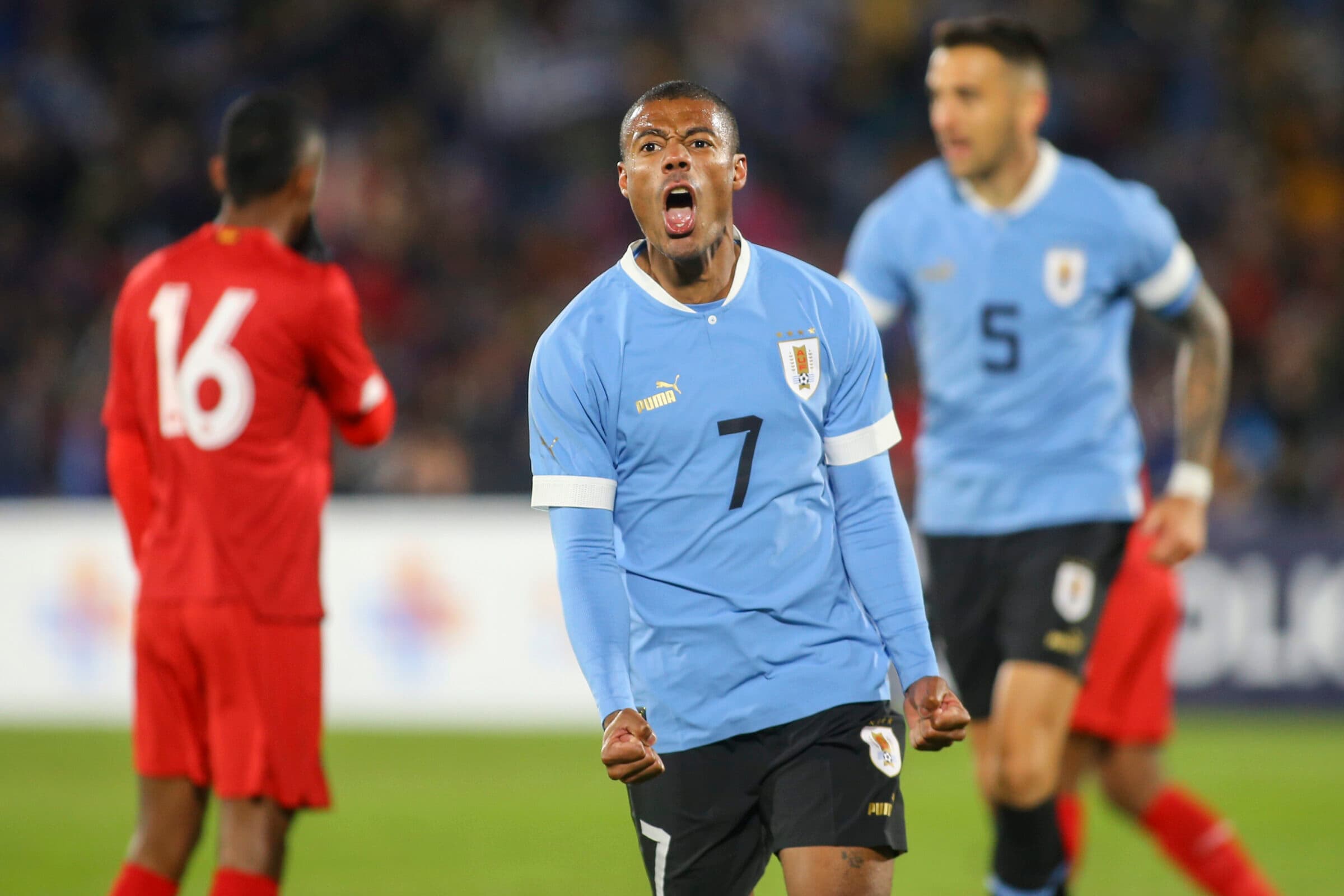 Advogado Marcos Motta elogiou postura do Flamengo no mercado da bola após contratação de De La Cruz