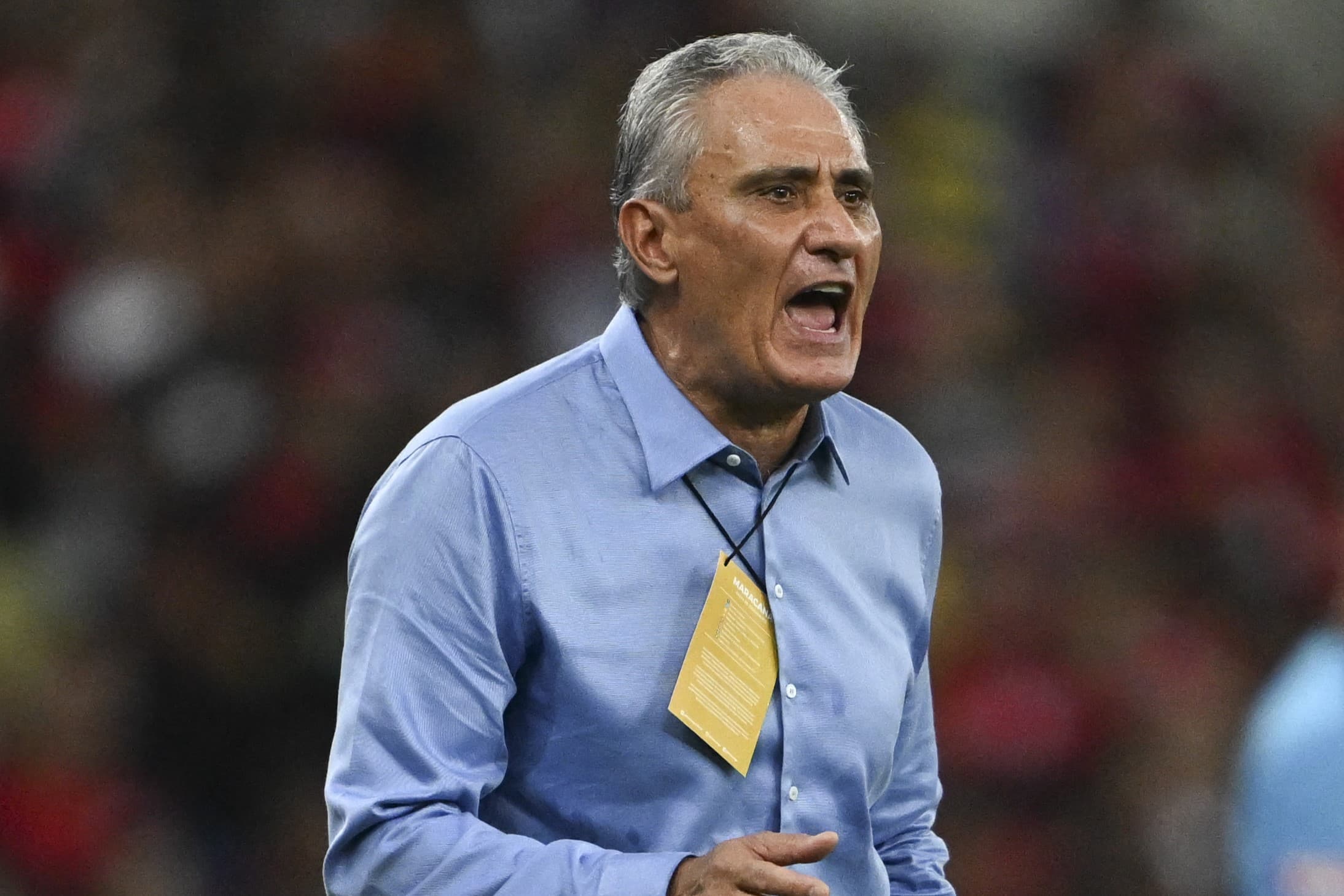 Tite durante jogo do Flamengo no Allianz Parque. Treinador levou cusparada de torcedor durante confronto contra o Palmeiras. Clube levará imagens para a polícia.