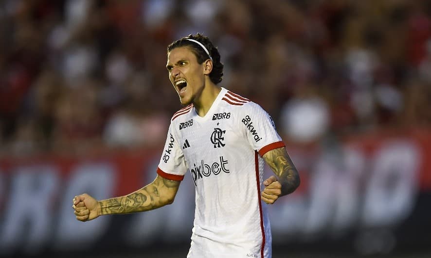 Pedro comemora gol do Flamengo no Brasileirão. Jogador é o artilheiro do Brasil em 2024.