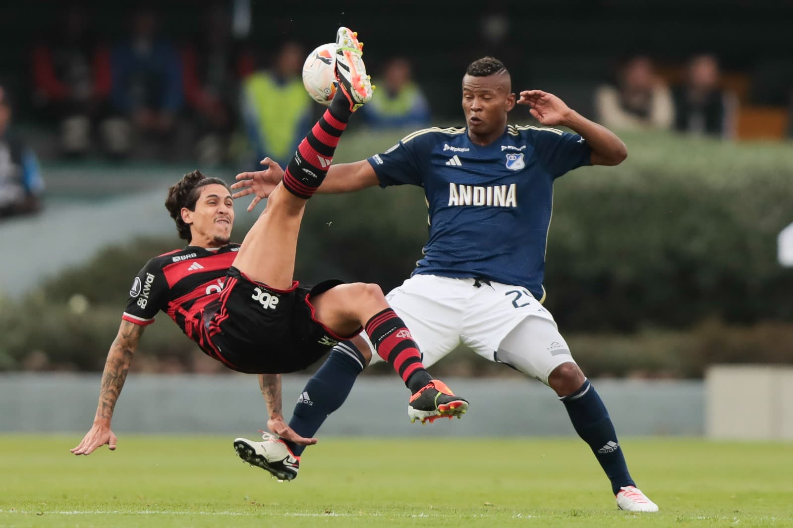 Pedro tenta uma bicicleta contra o Millonarios, pela Libertadores