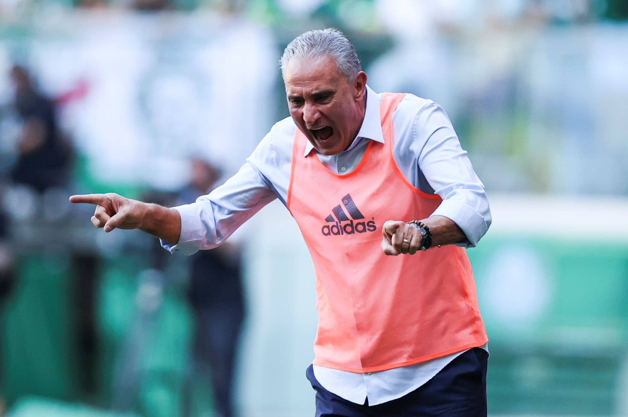 Tite durante Palmeiras x Flamengo, no Allianz