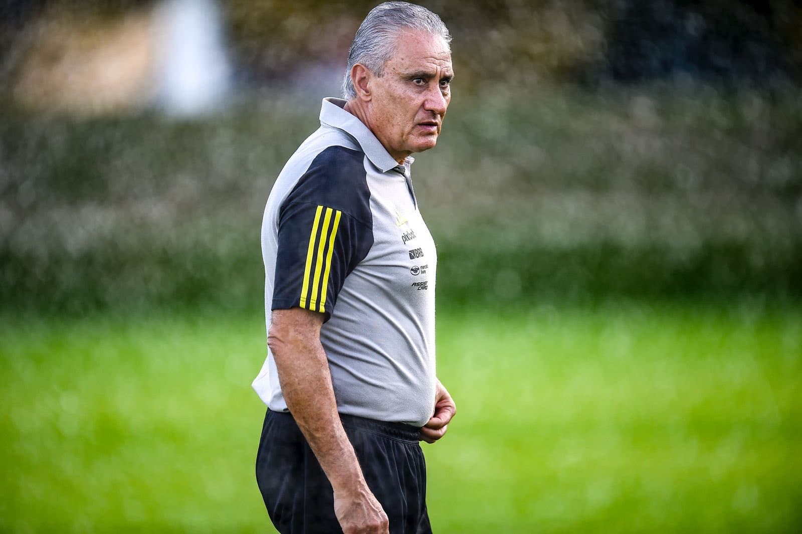 Tite durante treino do Flamengo