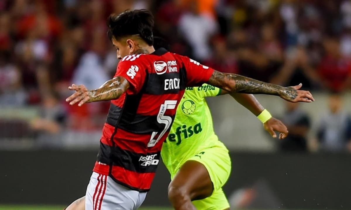 flamengo e palmeiras pelo brasileirão de 2023
