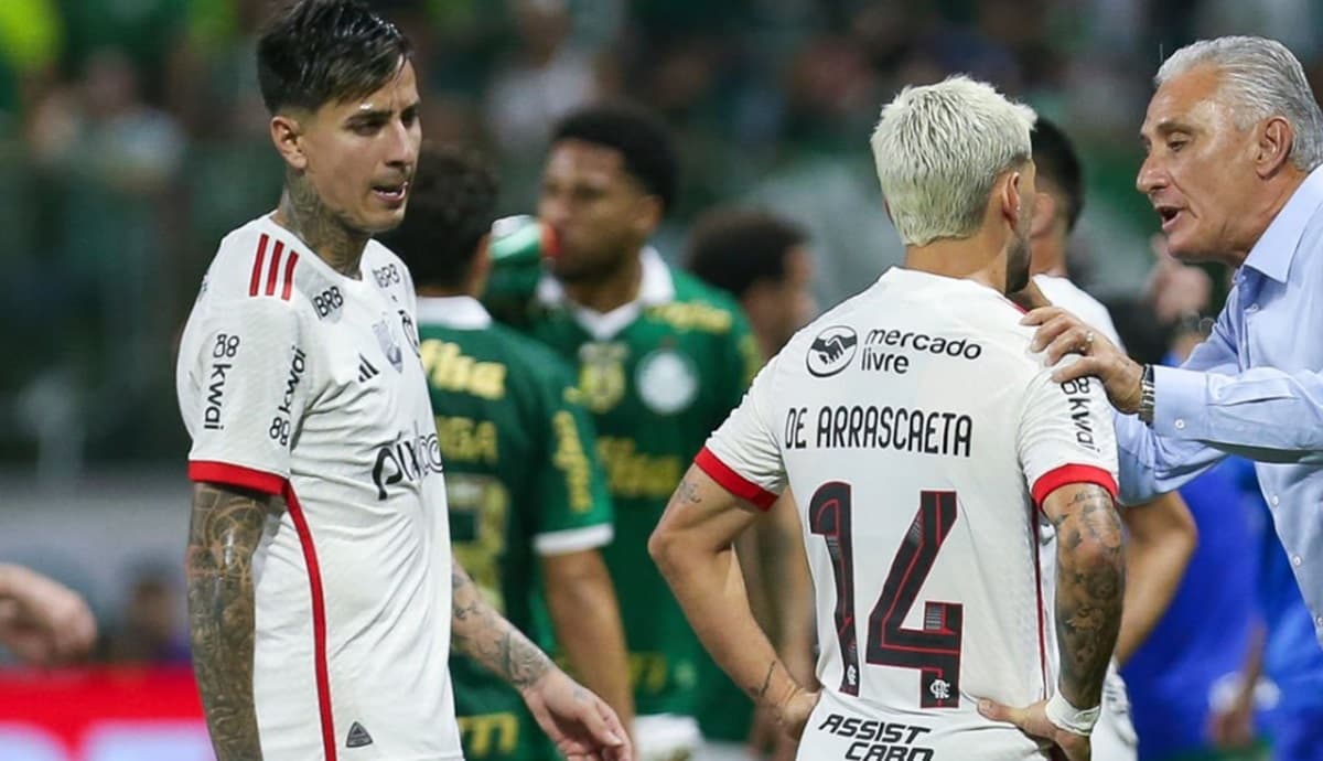 palmeiras e flamengo no allianz parque