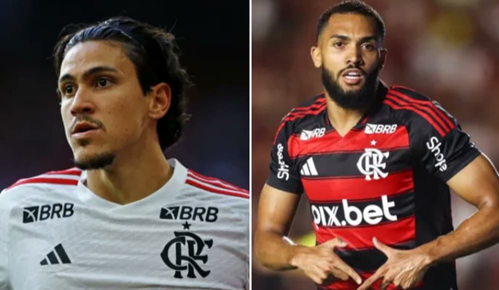 pedro e juninho flamengo