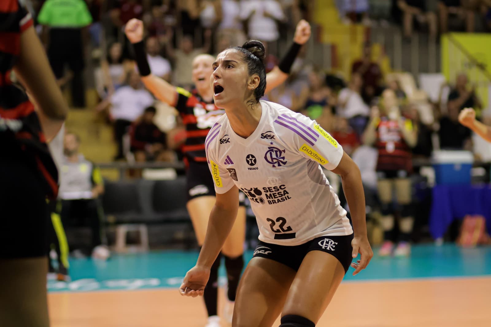 Sesc Flamengo Superliga