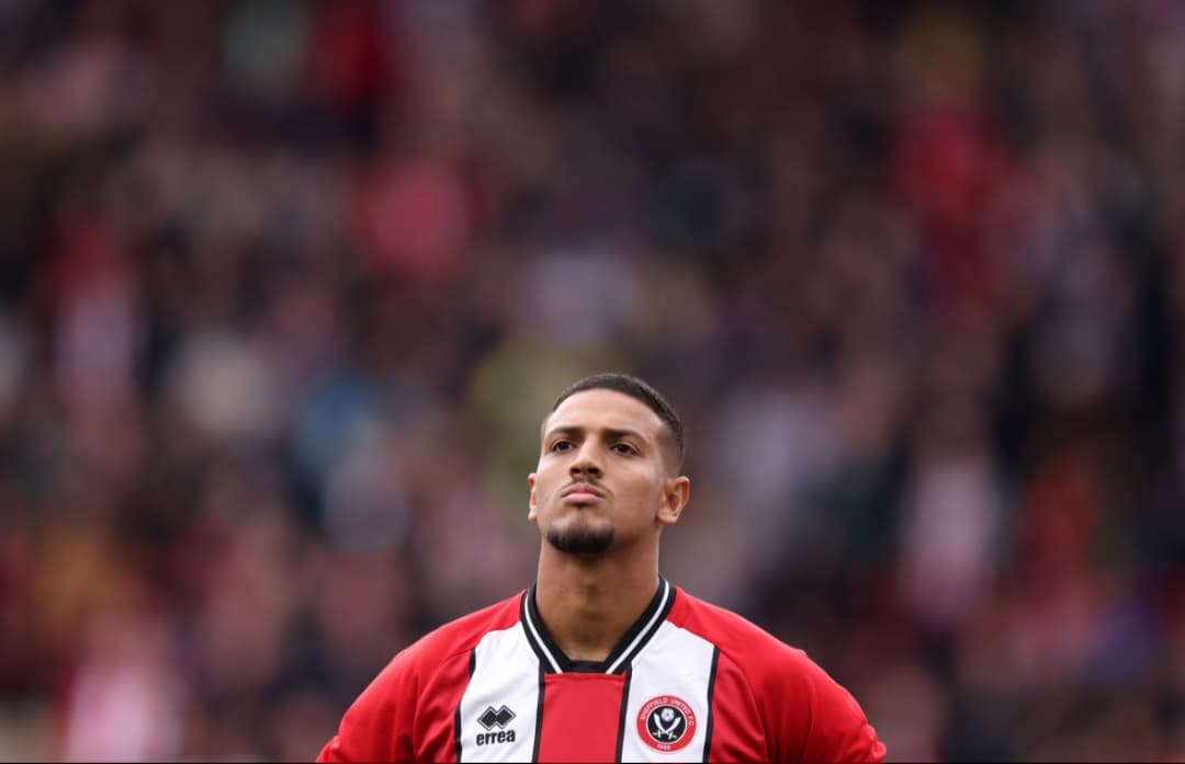 Vinição em campo pelo Sheffield United