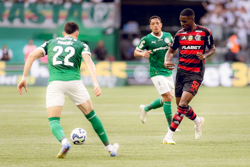 PALMEIRAS X FLAMENGO - CAMPEONATO BRASILEIRO - ALLIANZ PARQUE - 25-05-2025