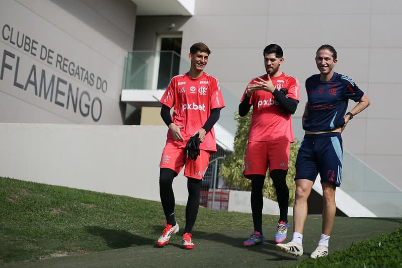 TREINO NO NINHO - 31-05-2025