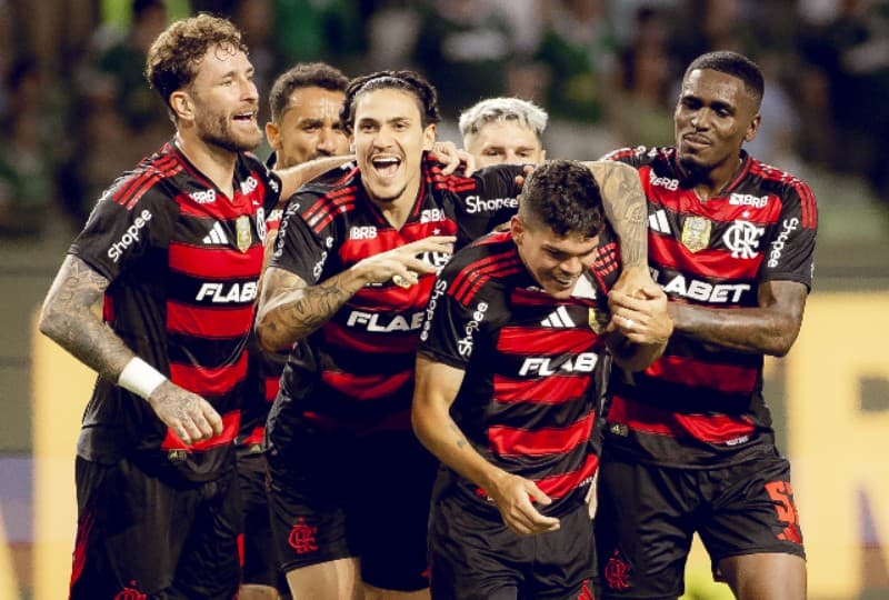 PALMEIRAS X FLAMENGO - CAMPEONATO BRASILEIRO - ALLIANZ PARQUE - 25-05-2025