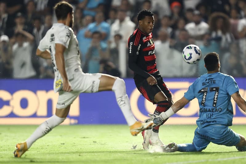 SANTOS X FLAMENGO - CAMPEONATO BRASILEIRO - VILA BELMIRO - 16-07-2025