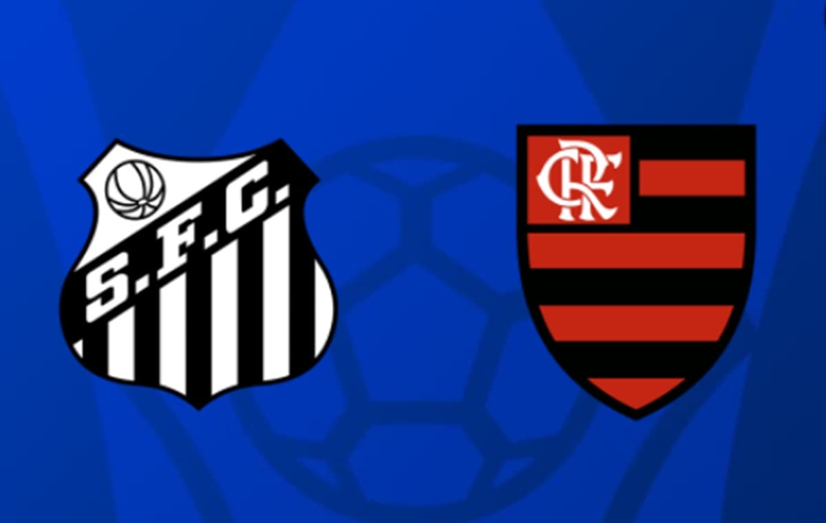 santos x flamengo brasileirão