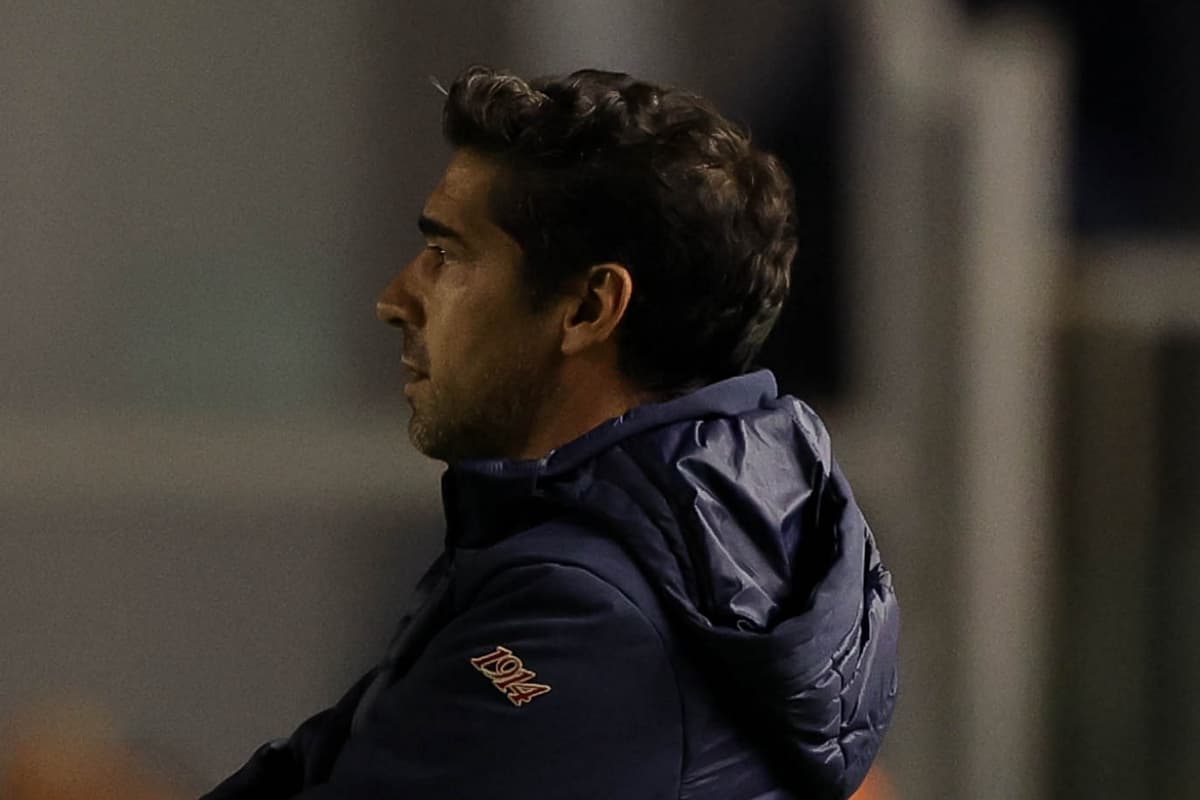 Abel Palmeiras Santos