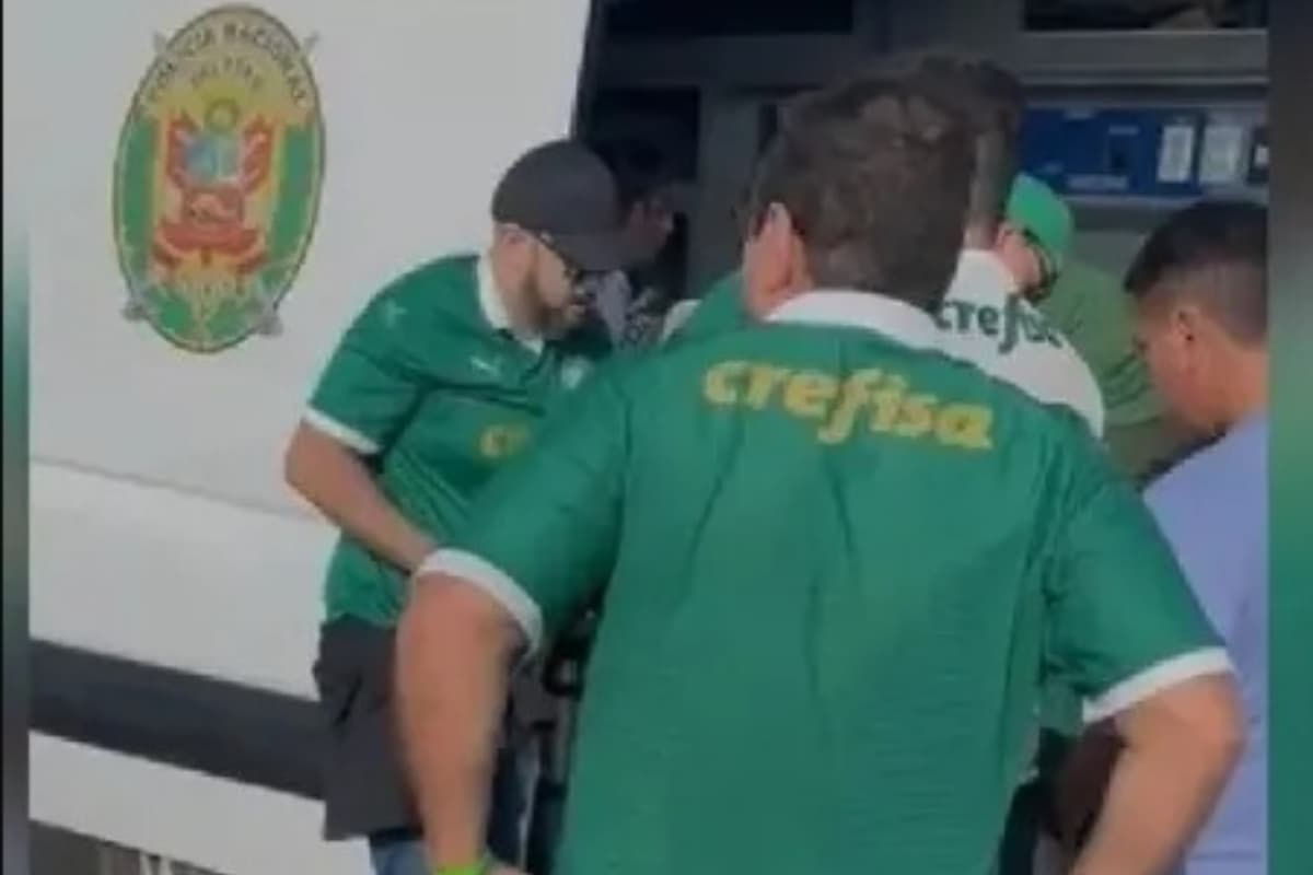 Torcedor Palmeiras Libertadores