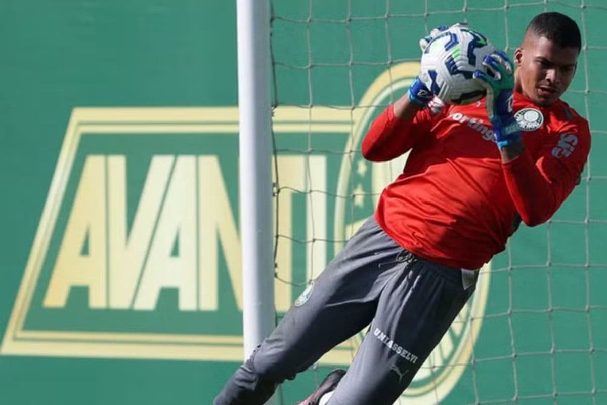 Aranha, goleiro reserva do Palmeiras