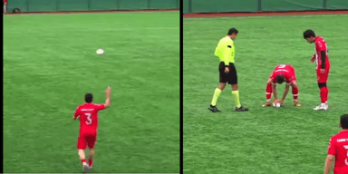 Jogador faz massagem cardíaca em gaivota 'nocauteada' por bolada durante final; veja o vídeo