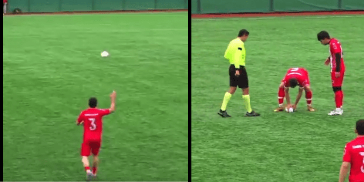 Jogador faz massagem cardíaca em gaivota 'nocauteada' por bolada durante final; veja o vídeo