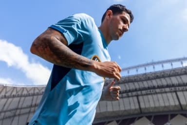 Nino Palmeiras Zenit