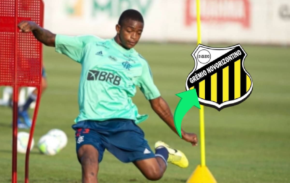 ronald ex-flamengo reforço do novorizontino