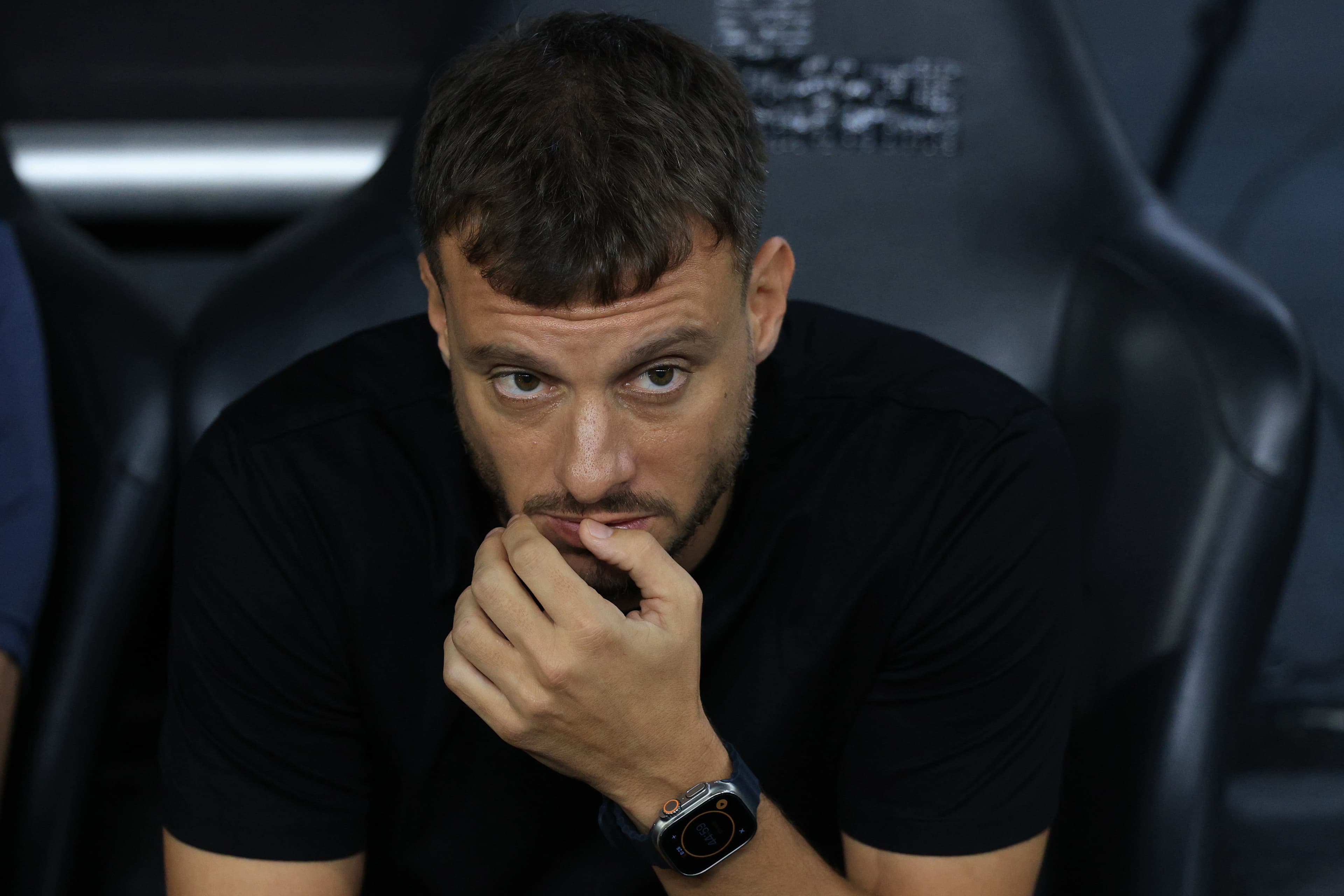 Anselmi, técnico do Botafogo