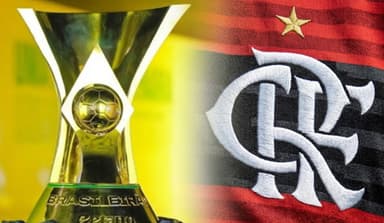brasileirão flamengo