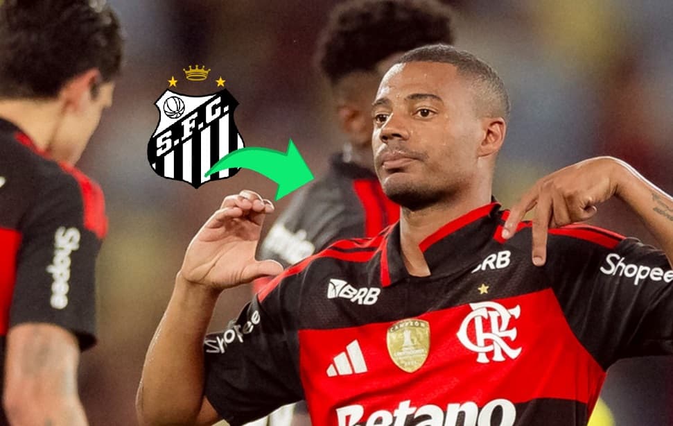 de la cruz flamengo santos