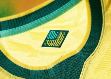 Vai Brasa na camisa da Seleção Brasileira