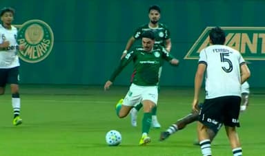palmeiras botafogo brasileirão