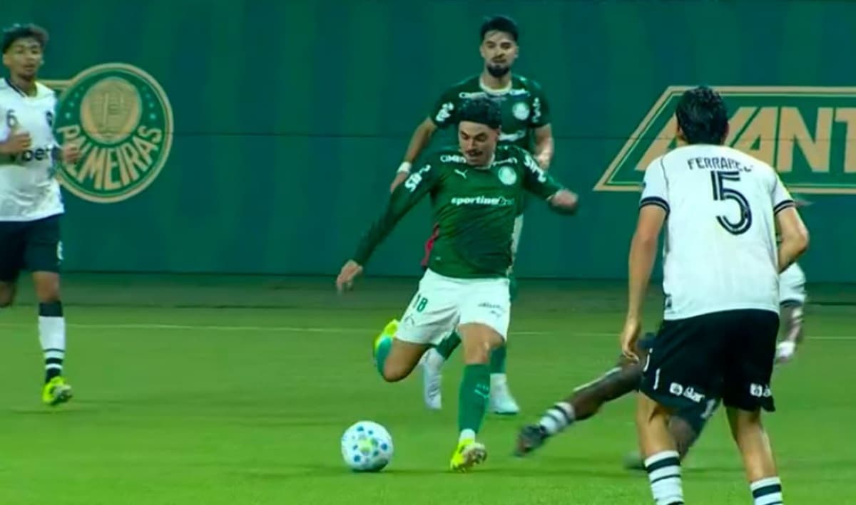 palmeiras botafogo brasileirão