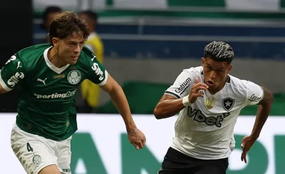 palmeiras botafogo brasileirão