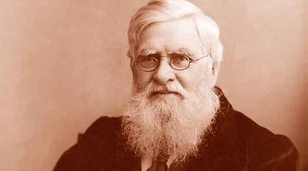 Alfred Wallace