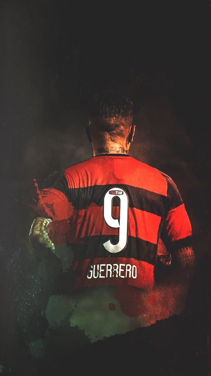 Guerrero Flamengo