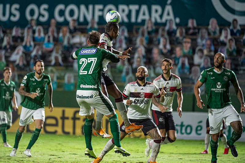 flamengo goias