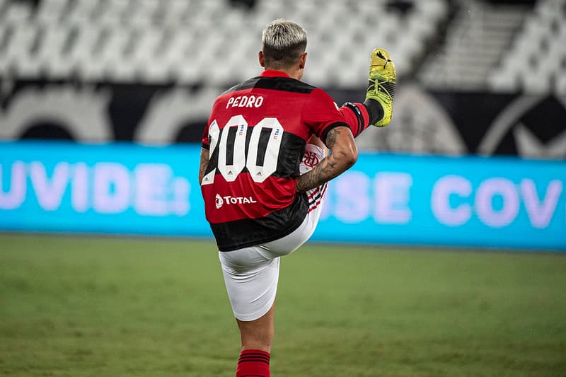 flamengo botafogo pedro