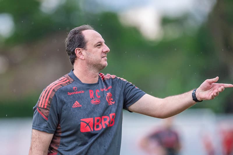 flamengo rogério ceni