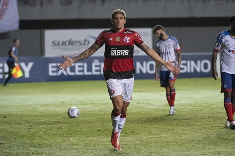 Pedro Flamengo