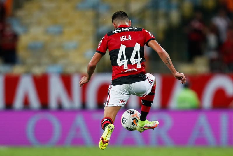 Isla Flamengo Covid-19 Chile