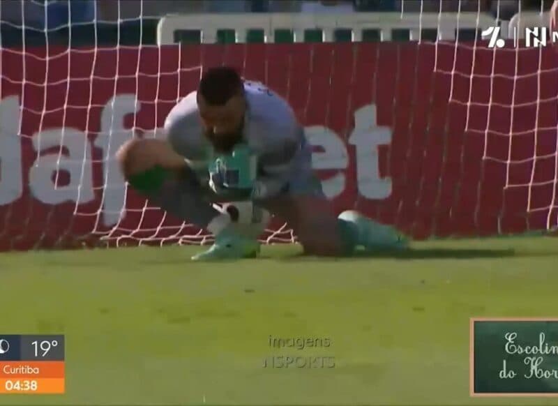 Muralha frango Coritiba