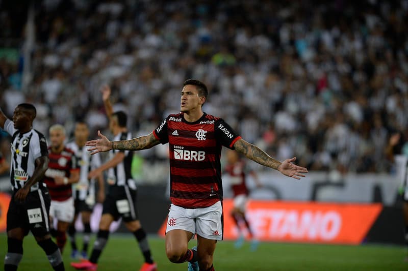 Pedro Flamengo Palmeiras